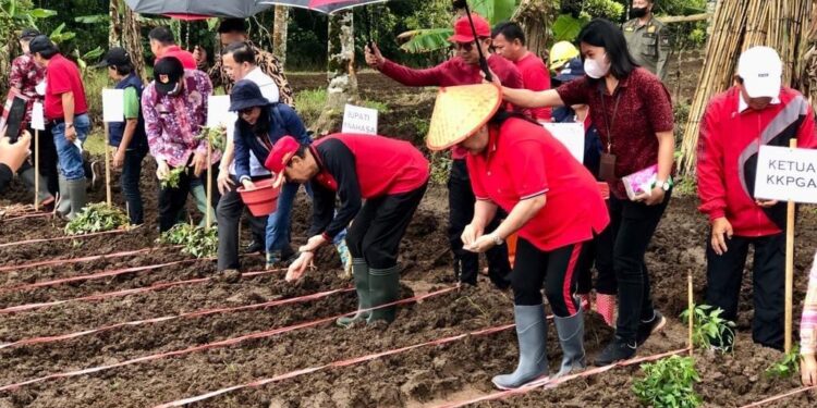 Bupati ROR dan TP-PKK Minahasa Ajak Masyarakat Galakkan Menanam dan Beternak