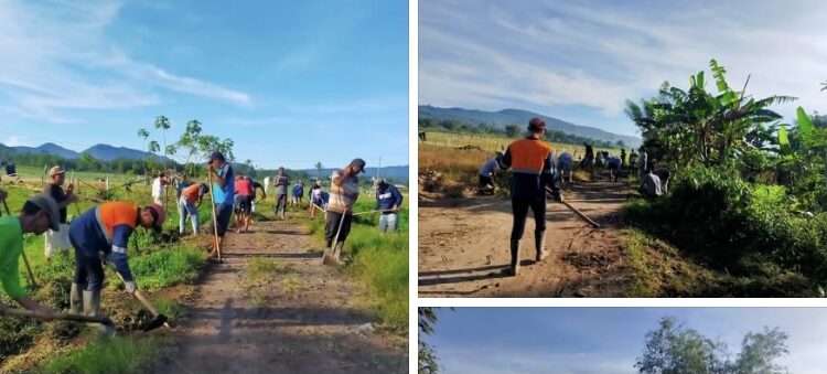 Dipimpin Hukum Tua Oping, Masyarkat Desa Liba Turun Kerja Bakti di Komplek Perkebunan Tabeinpokok