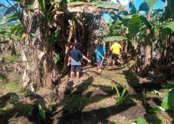 Dukung Program Ketahanan Pangan Pemkab Minahasa, Hukum Tua Oping Ajak Warga Desa Liba Beternak dan Menanam