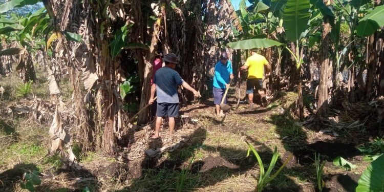Dukung Program Ketahanan Pangan Pemkab Minahasa, Hukum Tua Oping Ajak Warga Desa Liba Beternak dan Menanam