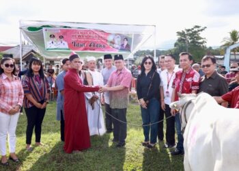 Idhul Adha 2023 Pemkab Kurban 45 Sapi, Disebar Ke Mesjid Di Minahasa