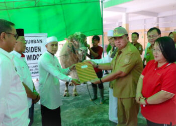 Wabup Robby Serahkan Hewan Korban di Masjid Agung Al Falah Kiay Mojo Kampung Jawa Tondano