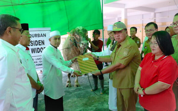 Wabup Robby Serahkan Hewan Korban di Masjid Agung Al Falah Kiay Mojo Kampung Jawa Tondano