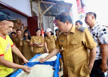 Pj Bupati Minahasa Pantau Harga Beras Di Pasar Tondano