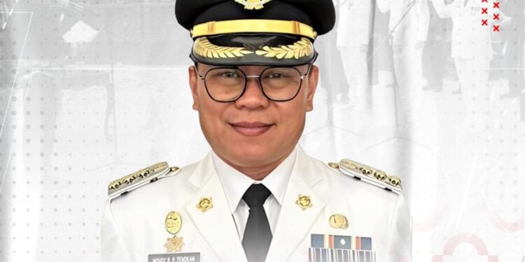 Dilantik Gubernur OD Sebagai Penjabat Bupati Minahasa, Ini Profil Lengkap Noudy Tendean 