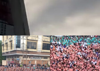 Fenomena Merpati Saat Puluhan Ribu Peserta Jalan Sehat WL-MM