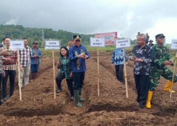 Dukung Program Nasional, Pj Bupati Minahasa Noudy Tendean Canangkan Gerakan Tanam Tanaman Pangan dan Hortikultura 2025 di Perkebunan Desa Kasuratan
