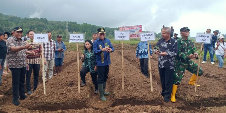 Dukung Program Nasional, Pj Bupati Minahasa Noudy Tendean Canangkan Gerakan Tanam Tanaman Pangan dan Hortikultura 2025 di Perkebunan Desa Kasuratan