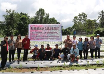 Hadiri Kegiatan Gerakan Tanam Cabai Rawit Di Desa Leleko. Bupati Robby : Kegiatan Ini Perlu Didorong 