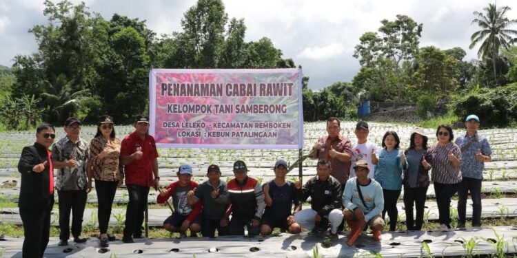 Hadiri Kegiatan Gerakan Tanam Cabai Rawit Di Desa Leleko. Bupati Robby : Kegiatan Ini Perlu Didorong 