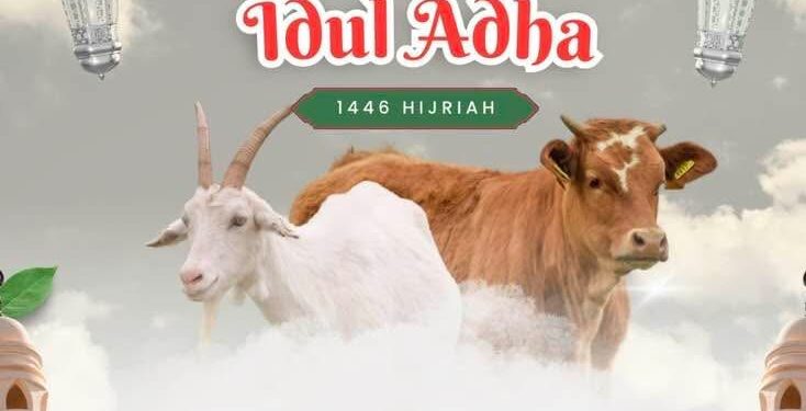 Sambut Hari Raya Idul Adha 1446 H, Bupati Robbi Salurkan 19 Ekor Sapi Kurban Kepada Umat Muslim di Minahasa