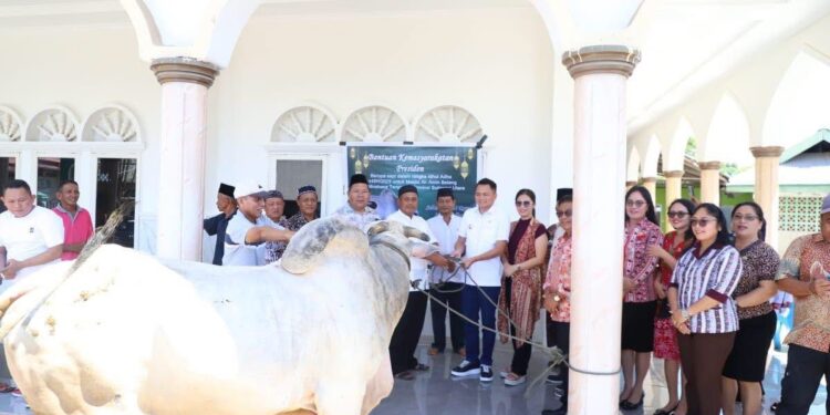 Bupati Mitra Serahkan  Kurban di  Masjid  Al Amin Belang