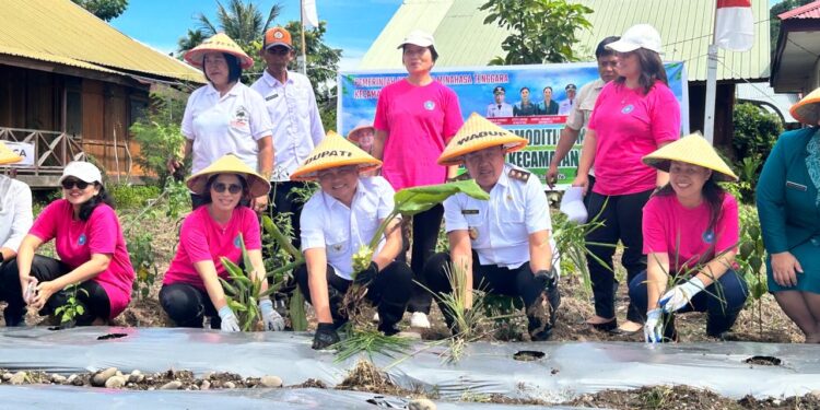 Kabupaten Minahasa Tenggara Dorong Kemandirian Pangan: Gerakan Tanam Lokal untuk Ketahanan Pangan