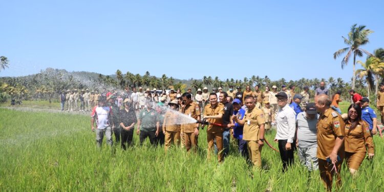 Mitigasi Dampak El Nino: Bupati Ronald Kandoli Turun Langsung Bantu Pengairan Sawah Warga dan SiapkanPembangunan Embung